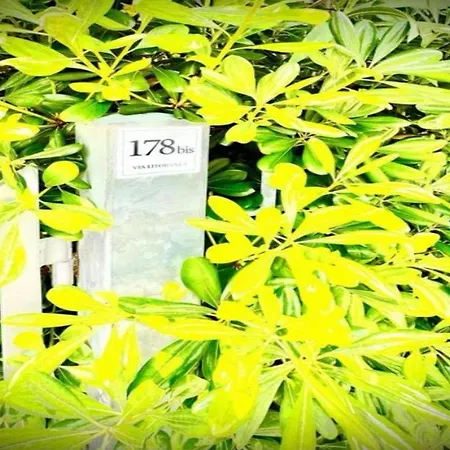 Conero Casa - Di Numana Fronte Mare In Via Litoranea 178 Bis Con Parcheggio Esclusivo Апартаменты Марчелли